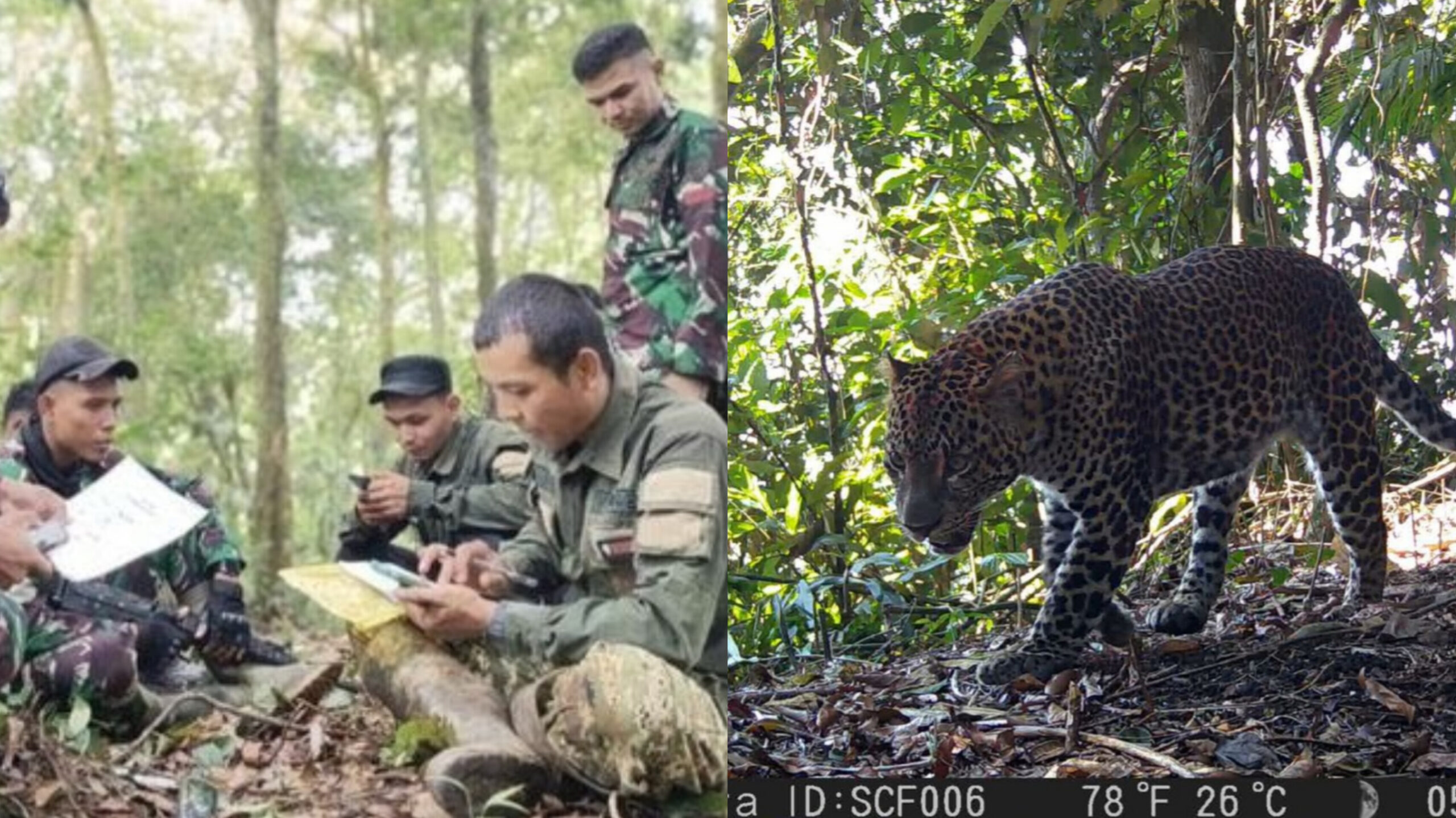 Tim Ekspedisi TNI AD Sanggabuana Ungkap Data Penting Populasi Macan Tutul Jawa